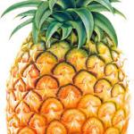 Pineapple