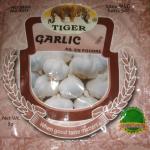 TIGER GARLIC