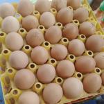 half crate of egg