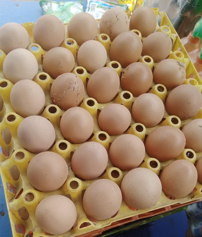 half crate of egg