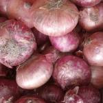 onion