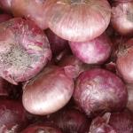 onion
