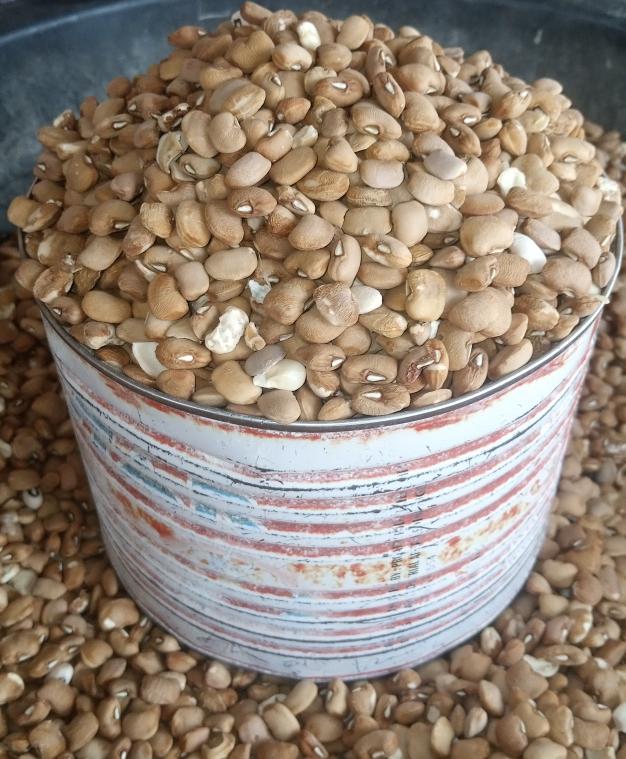half paint of beans(brown beans)