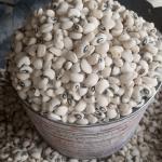 half paint of beans( iron beans)