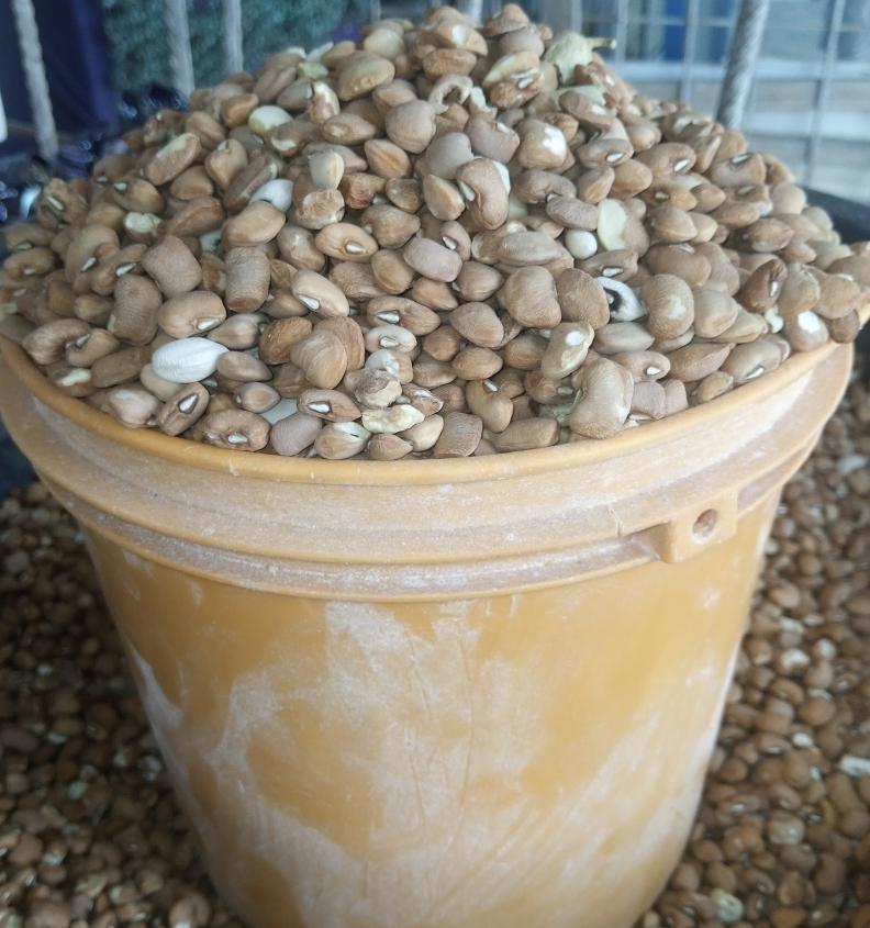1 paint  of beans(local beans)