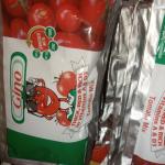 Gino tomato