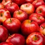 Apples