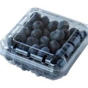 Blueberry Pack
