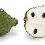 Soursop