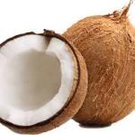 Coconut
