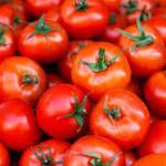 Tomatoes