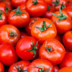 Tomatoes