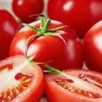 Tomatoes