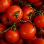 Tomatoes