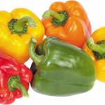 PEPPER