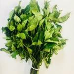 fluted pumpkin leaf (ugu)