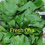 uha leaf