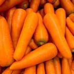 Carrot