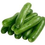 Cucumber
