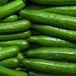 Cucumber