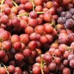RED GRAPES