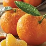 Tangerine