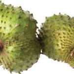 Soursop