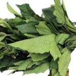 fluted pumpkin leaf (ugu)