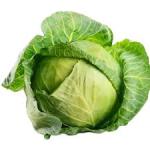 Cabbage