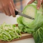 Cabbage