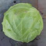 Cabbage