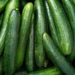 Cucumber