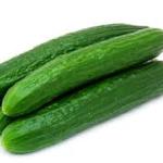 Cucumber