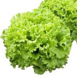 Lettuce